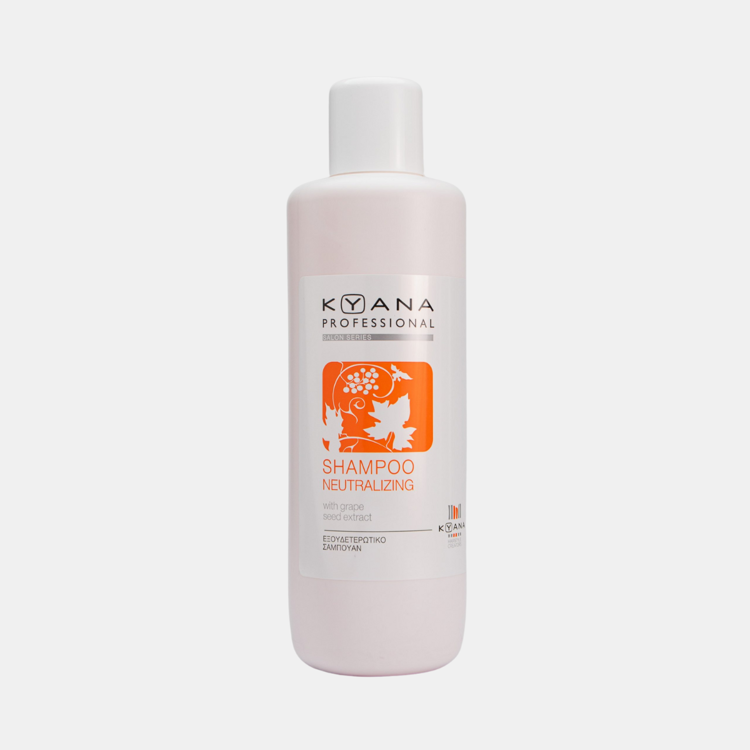 Εικόνα της Salon Shampoo Post Color 1000ml Neutralizing