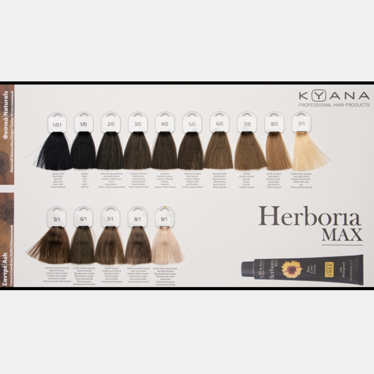 Picture of Kyana Herboria Max Ammonia Free 10/1 Blonde Very Light Sandre 100ml